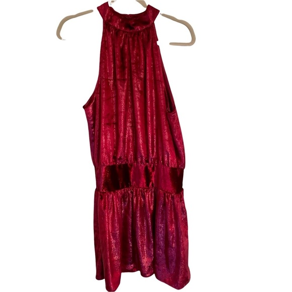 NWT RAMY BROOK Ellin Velvet Halter Garnet Red Mini Dress | Size Large | $398 - Picture 3 of 8